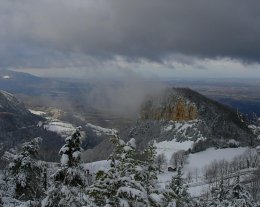 Chalet  indépendant réservé aux amoureux du calme ...