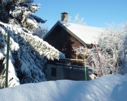 Le Mélèze, chalet cosy et familial