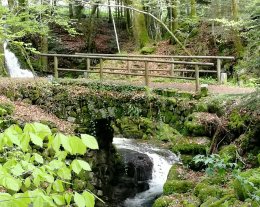 Nid Douillet -CHEMINEE et descente luge sur place - HAMMAM - balnéo PÉTANQUE - TENNIS - QUILLES - animaux - jardin - JEUX - proche Gérardmer la Bresse Ventron aux portes de l'Alsace.  PISCINE de mi mai à fin septembre 