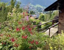 , Mazot Savoyard « Le Taude »