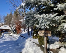 LES OISEAUX P'Chalet