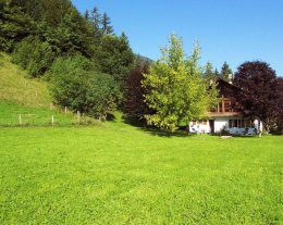 Le p'tit paradis Le p'tit paradis