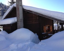 Véritable Petit Chalet Savoyard en Madriers
