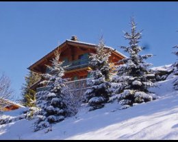 Chalet de luxe traditionnel en bois très belle vue