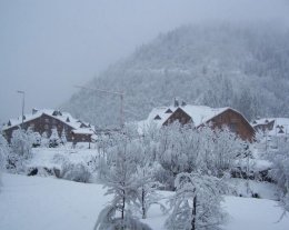 LA PALME D'OR DES NEIGES