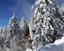 CHALET VALLIER