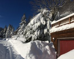 Chalet BLANCHON