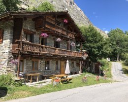 les pervenches les pervenches