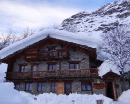 les pervenches les pervenches