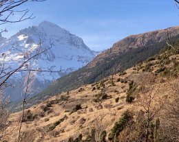 " LES ALPINES 1 " - 2 Chambres-  CONFORTABLE, CHALEUREUX, SPACIEUX 