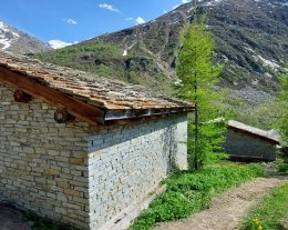 Chalet Les MERISIERS