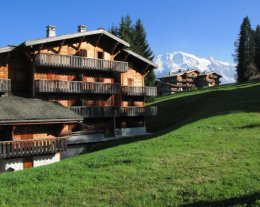 LE BETTEX / CHALETS DE PIERRE PLATE sur les pistes 