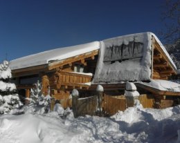 Les Artigues, chalet de charme en rondins naturels