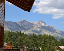 Chalet 3* LE LAGOPEDE 400M DES PISTES WIFI