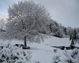 Bergerie de la Montagne Verte