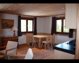 Chalet les Aulnes             *ski et centre village: 350 m*