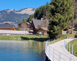 Châtel + 320 M² 15 pers + 3 bébés au  bord du lac ,remontées a 400 m   