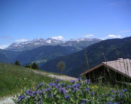 Authentique chalet d'alpage à 500m des pistes