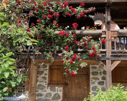 Au Bon Vieux Temps N°2, 98 m2 - WIFI gratuit, Sauna, Balnéo