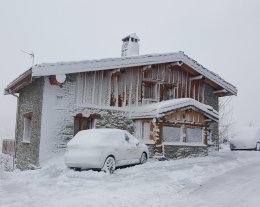 LE PIN CEMBRO La Norma