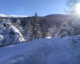 grand chalet  independant 8 pers au coeur de la nature des hautes Alpes