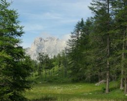 Chalet Sylvaine