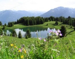 A 1450M D'ALTITUDE MOYENNE MONTAGNE APPT 8 PERS