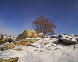 EYNE 2600 - Charmant T2 35m2 + grande terrasse pour 5  personnes EYNE 2600 - Charmant T2 35m2 + grande terrasse pour 5  personnes