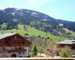 Appartement Praz sur Arly avec superbe vue à 300 mètres des pistes.