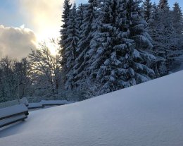 Les Oursons Bât. A1 n°07 Le Cernix Les Oursons Bât. A1 n°07 Le Cernix