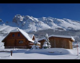 Chalet traditionnel en fuste haut de gamme