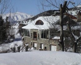 Les "CERFS" dans chalet pierre et bois