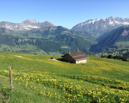 L' Alpage de CRESTERA, niché au cœur de l'ESPACE DIAMANT, appartement ARAVIS