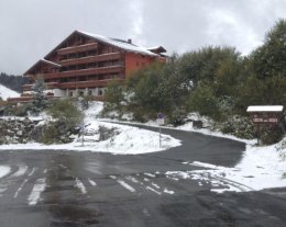 LE CRISTAL DES NEIGES LE CRISTAL DES NEIGES