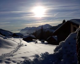 Résidence Le Haut Val d'Arly Bâtiment A Appart 005