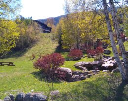 Chalet Petit Bonheur N° 80