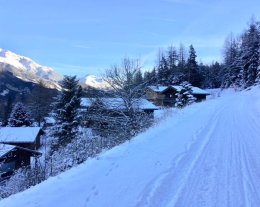 LE CHALET DES LOUPS