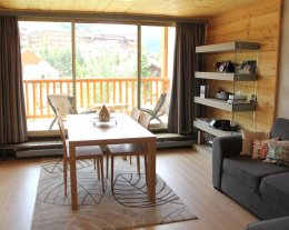 Appartement classé 4*, 50m2, plein Sud à 200m des pistes, vue exceptionnelle, tout inclus