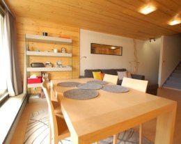 Appartement classé 4*, 50m2, plein Sud à 200m des pistes, vue exceptionnelle, tout inclus Appartement classé 4*, 50m2, plein Sud à 200m des pistes, vue exceptionnelle, tout inclus