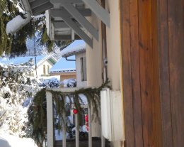Chamois 