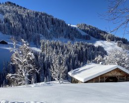 GRAND CHALET AUTHENTIQUE  15 PERSONNES  avec Piscine