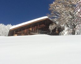 CHALET LES LANCHES