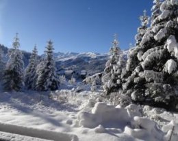 Joli 3 pièces 4/6 personnes MERIBEL, plein sud, piscine