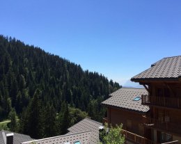 Les Oursons C : 3 chambres - terrasse - piscine