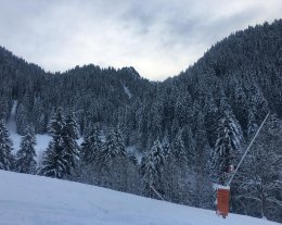 Chalet les Perches Chalet les Perches