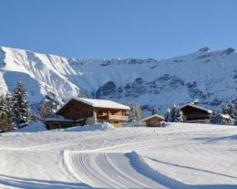  Le Montagny - Au bord des pistes de ski de fond & piétonnes