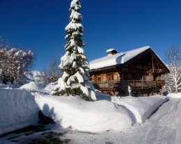 MEGEVE Appart en Chalet - Face au Mont Blanc - 