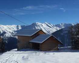 chalet l'ours brun