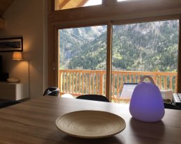 VENOSC-LES 2 ALPES-LE 1618 BILLARD SAUNA