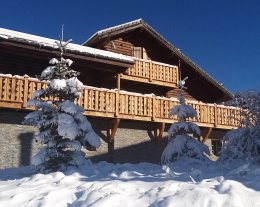 CHALET N° 6 rue  serre  du  seigle   LA JOUE  DU  LOUP  4 **** ,   , BILLARD ,  BABY -FOOT, salle  de  jeux ,  elliptique ,  vélo  appartement  300D                                                            VD, WEK-END 3 NUITS , SEMAINE